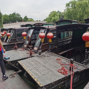 南湖游船白蟻防治